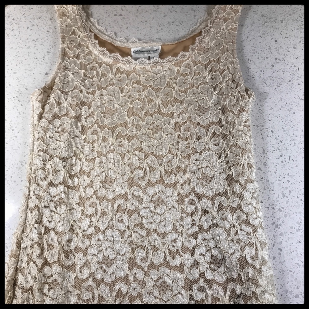 Coldwater Creek Nude and Ivory Lace Top
